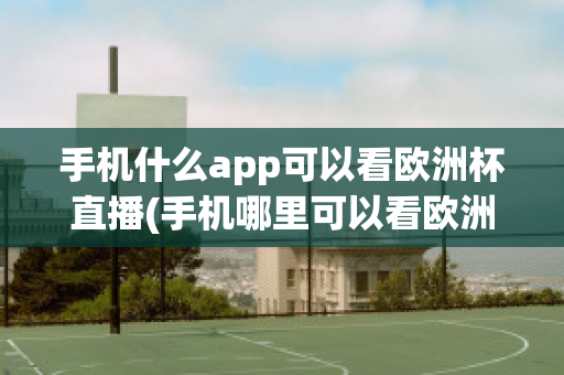 手机什么app可以看欧洲杯直播(手机哪里可以看欧洲杯直播)