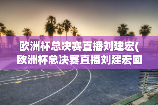 欧洲杯总决赛直播刘建宏(欧洲杯总决赛直播刘建宏回放)