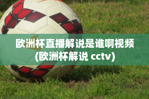 欧洲杯直播解说是谁啊视频(欧洲杯解说 cctv)