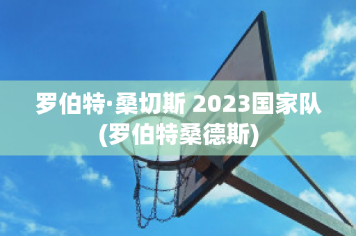 罗伯特·桑切斯 2023国家队(罗伯特桑德斯)