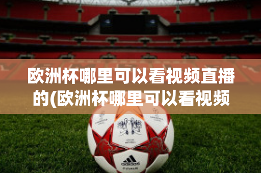 欧洲杯哪里可以看视频直播的(欧洲杯哪里可以看视频直播的平台)