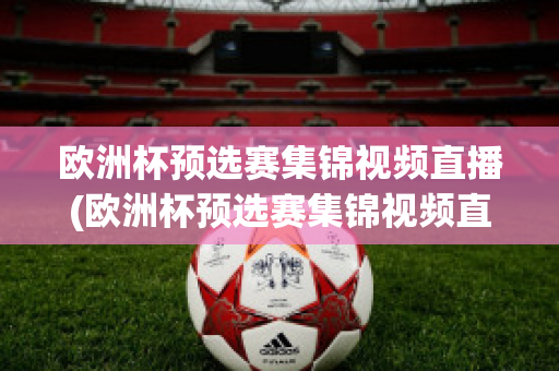 欧洲杯预选赛集锦视频直播(欧洲杯预选赛集锦视频直播回放)