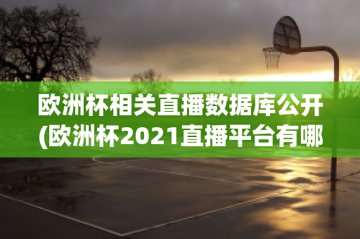 欧洲杯相关直播数据库公开(欧洲杯2021直播平台有哪些)