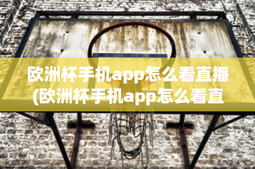 欧洲杯手机app怎么看直播(欧洲杯手机app怎么看直播视频)