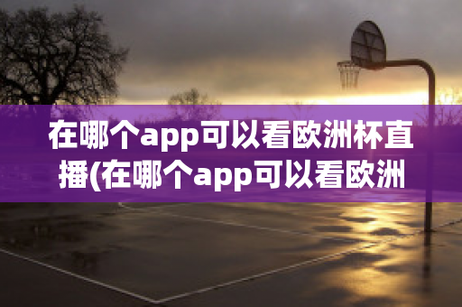 在哪个app可以看欧洲杯直播(在哪个app可以看欧洲杯直播视频)