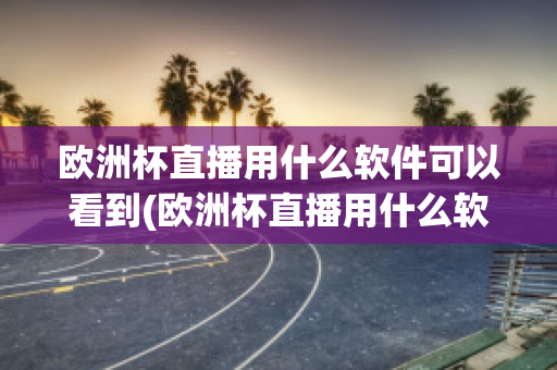 欧洲杯直播用什么软件可以看到(欧洲杯直播用什么软件可以看到人)