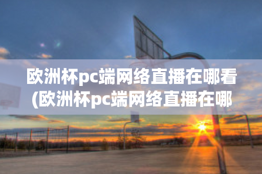 欧洲杯pc端网络直播在哪看(欧洲杯pc端网络直播在哪看回放)