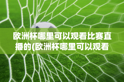 欧洲杯哪里可以观看比赛直播的(欧洲杯哪里可以观看比赛直播的平台)