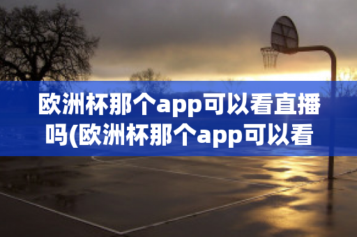 欧洲杯那个app可以看直播吗(欧洲杯那个app可以看直播吗知乎)