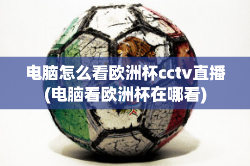 电脑怎么看欧洲杯cctv直播(电脑看欧洲杯在哪看)