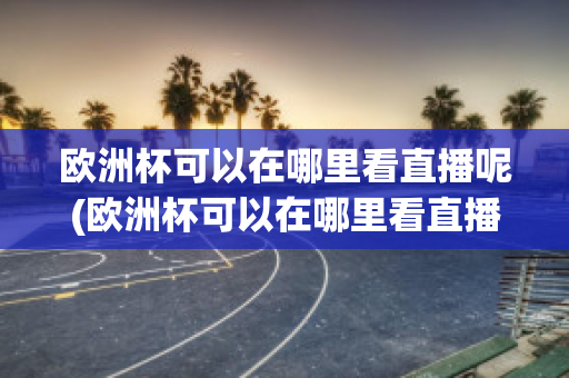 欧洲杯可以在哪里看直播呢(欧洲杯可以在哪里看直播呢英文)