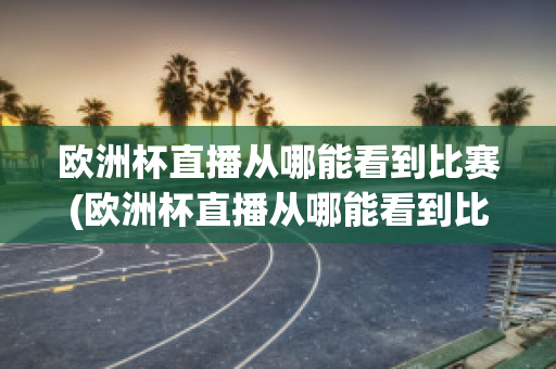 欧洲杯直播从哪能看到比赛(欧洲杯直播从哪能看到比赛结果)