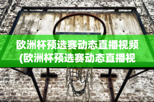 欧洲杯预选赛动态直播视频(欧洲杯预选赛动态直播视频在线观看)