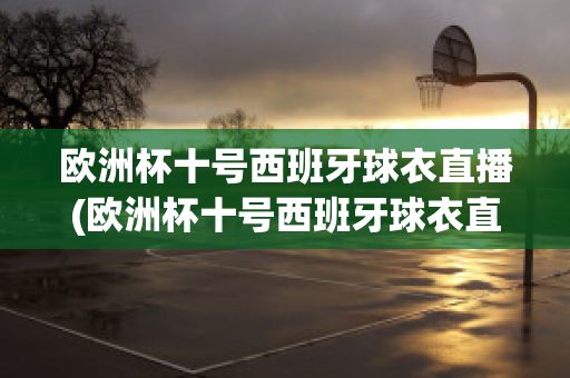 欧洲杯十号西班牙球衣直播(欧洲杯十号西班牙球衣直播视频)