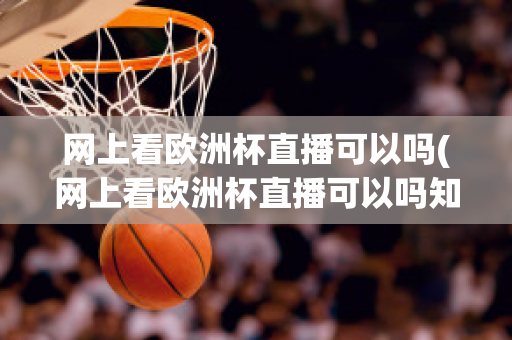 网上看欧洲杯直播可以吗(网上看欧洲杯直播可以吗知乎)