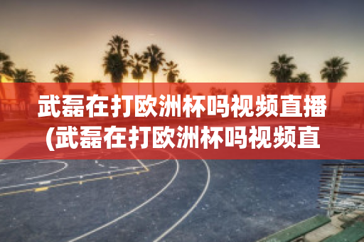 武磊在打欧洲杯吗视频直播(武磊在打欧洲杯吗视频直播在线观看)