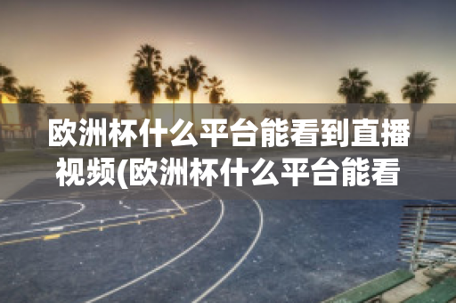 欧洲杯什么平台能看到直播视频(欧洲杯什么平台能看到直播视频呢)