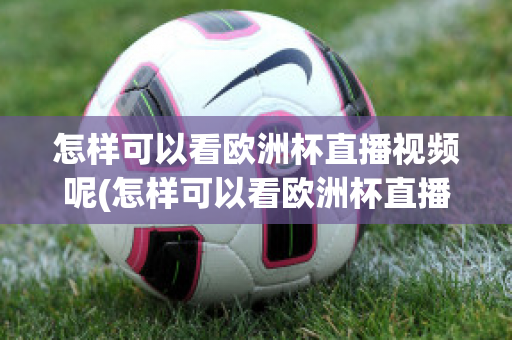 怎样可以看欧洲杯直播视频呢(怎样可以看欧洲杯直播视频呢知乎)