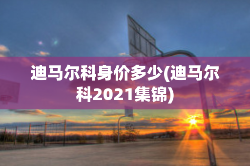 迪马尔科身价多少(迪马尔科2021集锦)