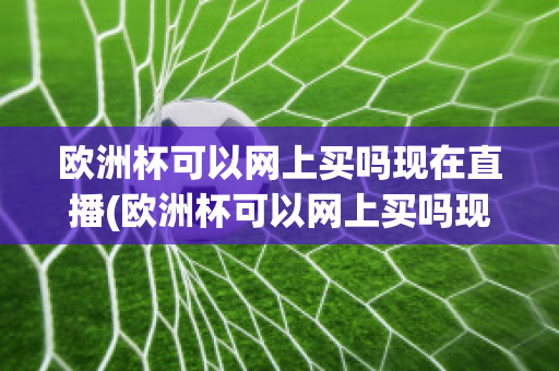 欧洲杯可以网上买吗现在直播(欧洲杯可以网上买吗现在直播在哪看)