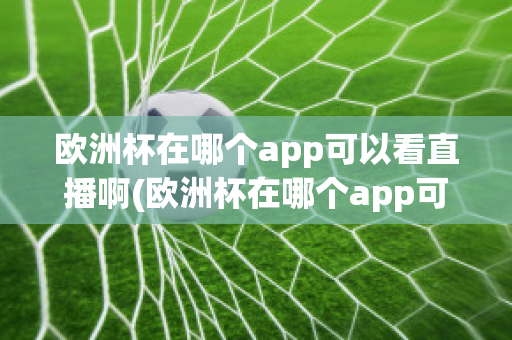 欧洲杯在哪个app可以看直播啊(欧洲杯在哪个app可以看直播啊英文)