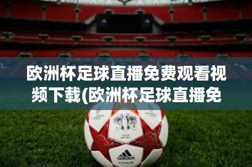 欧洲杯足球直播免费观看视频下载(欧洲杯足球直播免费观看视频下载手机版)