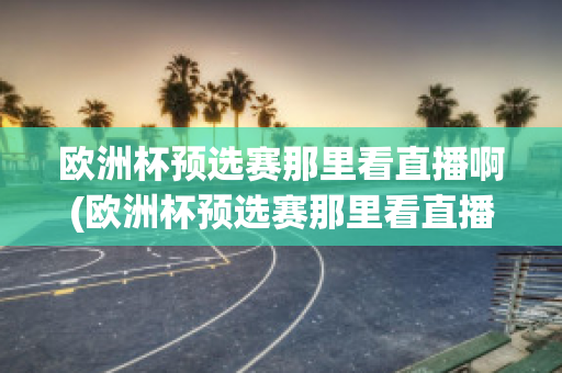 欧洲杯预选赛那里看直播啊(欧洲杯预选赛那里看直播啊)