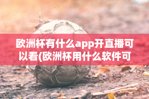 欧洲杯有什么app开直播可以看(欧洲杯用什么软件可以看直播)