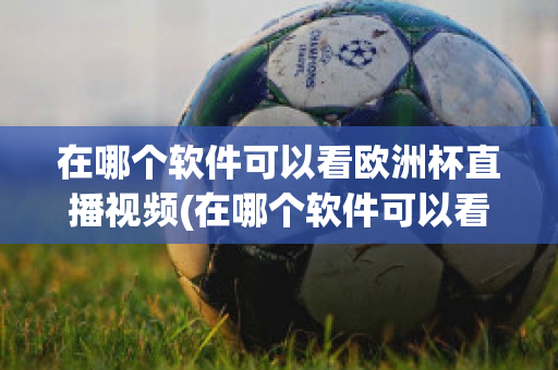 在哪个软件可以看欧洲杯直播视频(在哪个软件可以看欧洲杯直播视频回放)