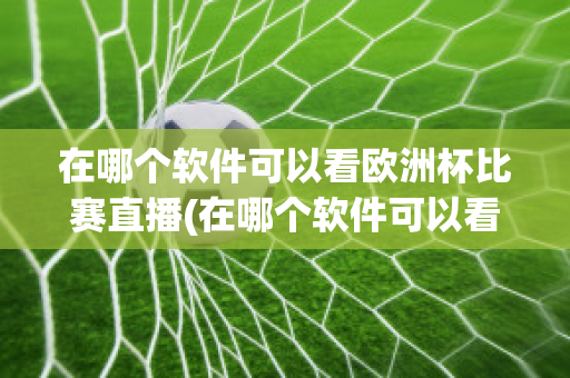 在哪个软件可以看欧洲杯比赛直播(在哪个软件可以看欧洲杯比赛直播视频)