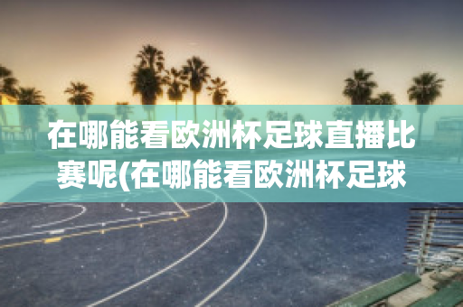 在哪能看欧洲杯足球直播比赛呢(在哪能看欧洲杯足球直播比赛呢)