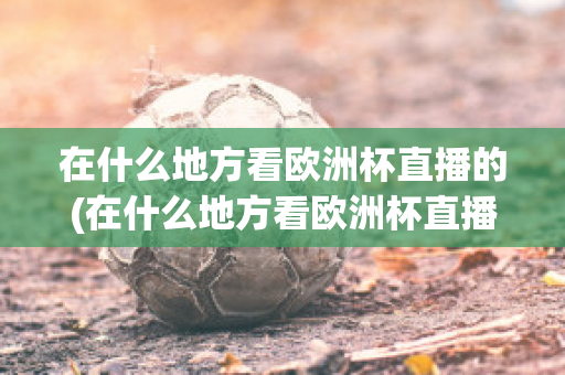 在什么地方看欧洲杯直播的(在什么地方看欧洲杯直播的直播平台)