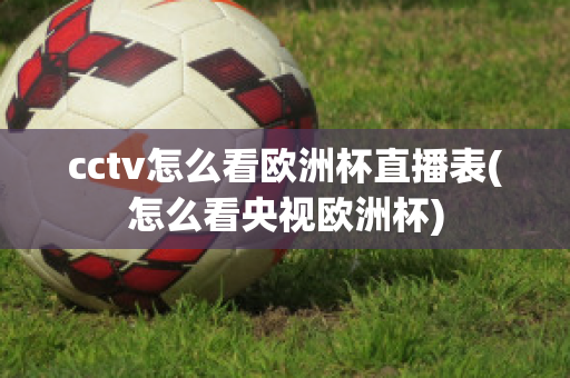 cctv怎么看欧洲杯直播表(怎么看央视欧洲杯)