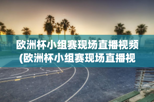 欧洲杯小组赛现场直播视频(欧洲杯小组赛现场直播视频在线观看)