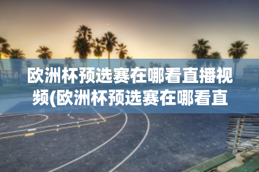 欧洲杯预选赛在哪看直播视频(欧洲杯预选赛在哪看直播视频啊)