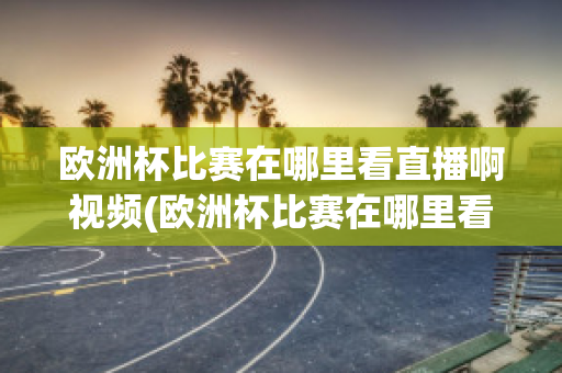 欧洲杯比赛在哪里看直播啊视频(欧洲杯比赛在哪里看直播啊视频教学)