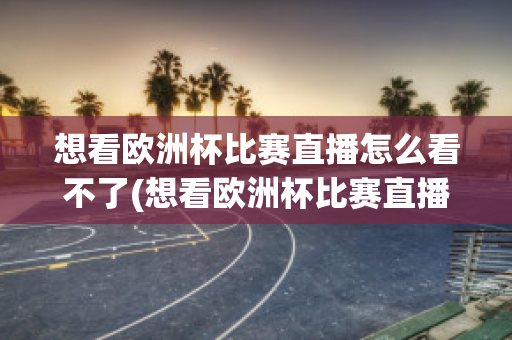 想看欧洲杯比赛直播怎么看不了(想看欧洲杯比赛直播怎么看不了回放)