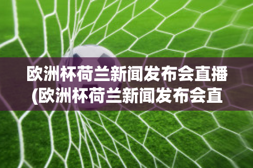 欧洲杯荷兰新闻发布会直播(欧洲杯荷兰新闻发布会直播回放)