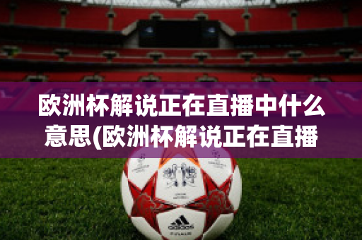 欧洲杯解说正在直播中什么意思(欧洲杯解说正在直播中什么意思呀)