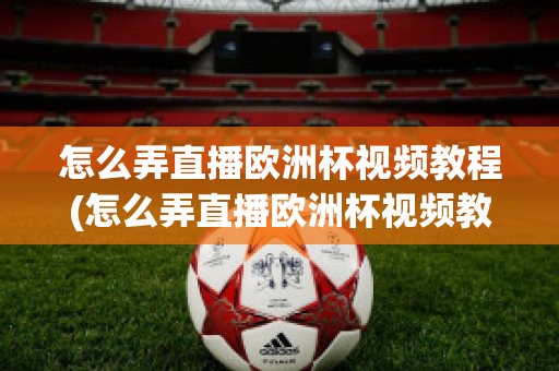 怎么弄直播欧洲杯视频教程(怎么弄直播欧洲杯视频教程手机)