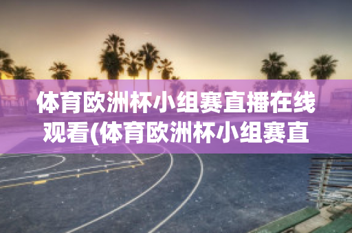 体育欧洲杯小组赛直播在线观看(体育欧洲杯小组赛直播在线观看)