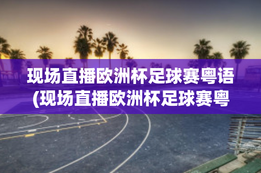 现场直播欧洲杯足球赛粤语(现场直播欧洲杯足球赛粤语在线播放)