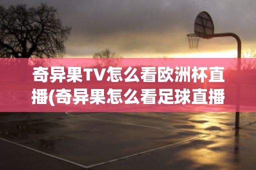 奇异果TV怎么看欧洲杯直播(奇异果怎么看足球直播)