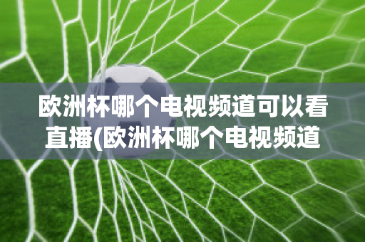 欧洲杯哪个电视频道可以看直播(欧洲杯哪个电视频道可以看直播回放)