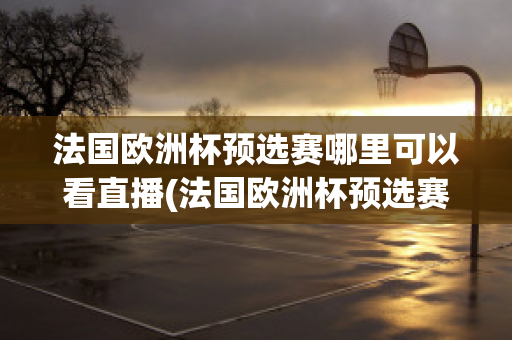 法国欧洲杯预选赛哪里可以看直播(法国欧洲杯预选赛哪里可以看直播回放)