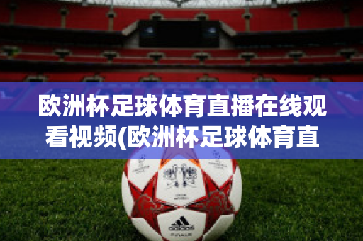 欧洲杯足球体育直播在线观看视频(欧洲杯足球体育直播在线观看视频回放)
