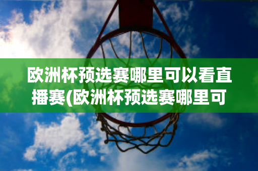 欧洲杯预选赛哪里可以看直播赛(欧洲杯预选赛哪里可以看直播赛果)