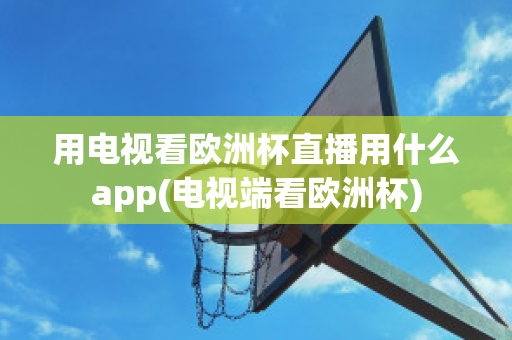 用电视看欧洲杯直播用什么app(电视端看欧洲杯)