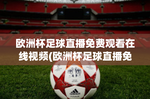 欧洲杯足球直播免费观看在线视频(欧洲杯足球直播免费观看在线视频高清)