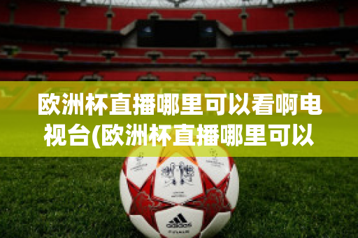 欧洲杯直播哪里可以看啊电视台(欧洲杯直播哪里可以看啊电视台回放)